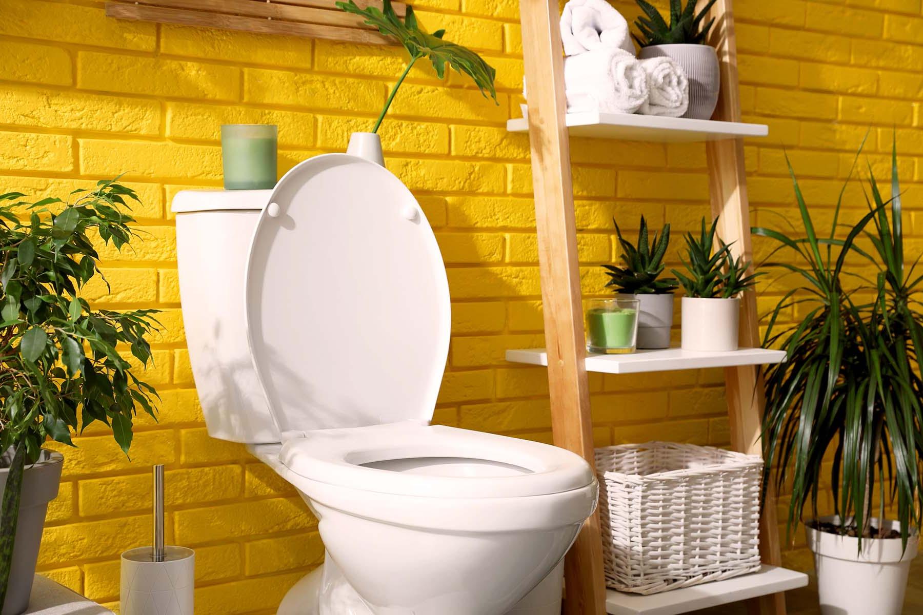 白色的马桶衬着亮黄色的浴室墙